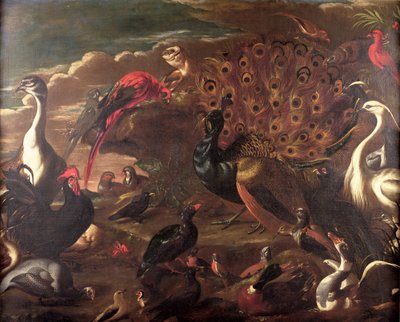 Die Vögel und die Tiere von Jacob van der Kerckhoven